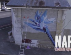 Nard Star – Concrete Flower (A short documentary)